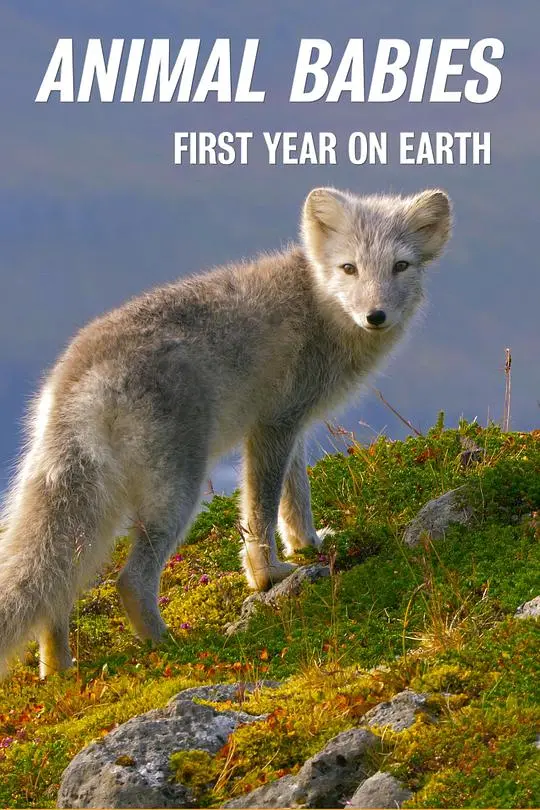 《萌宝出生第一年》：新手爸妈的爆笑育儿经，温馨又真实！