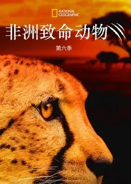 《非洲致命动物第六季》:探索狂野非洲的生存法则,见证动物世界的残酷与温情