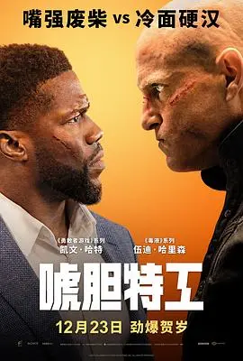 《唬胆特工》：一部充满惊喜的动作冒险片，笑料与惊险并存，让你大呼过瘾！