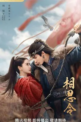 《相思令》：是神仙下凡还是情种下凡？39号办公室的爱恨纠葛让人上头！